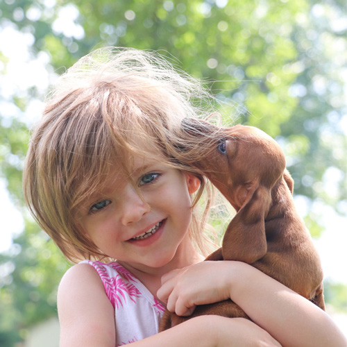 Trust-worthy Breeders- My Pup Central